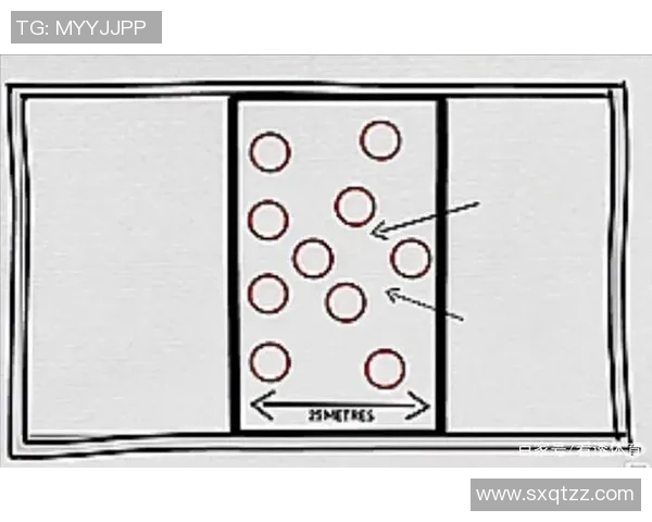 西安排球队区域防守策略解析与战术应用探讨 西安排球队区域防守策略解析与战术应用探讨